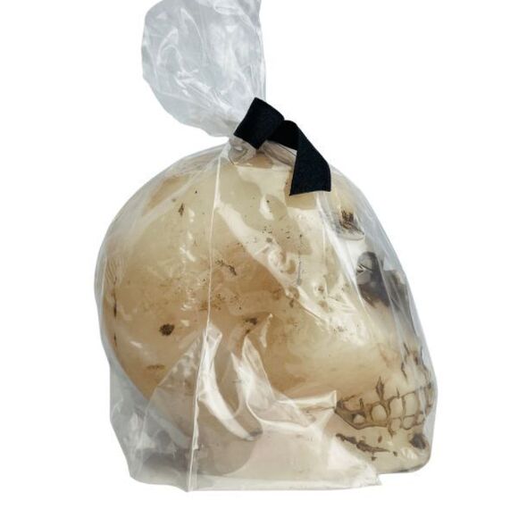 Holy Death Bleeding Skull 4 inch Figurine Image Figure Candle Wicca Santeria - Picture 5 of 7